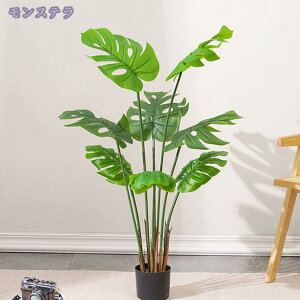 1000~OFFN[| Ύ tFCNO[ ^  i` lHϗtA A Vz JX J fBXvC {^jJ  p z[ 뉀 Cxg a j v[g 