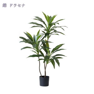 2000~OFFN[| tFCNO[ ^ tFCNϗtA AȎ} Rȗt lHϗtA  傫 { rO Lb`  L _CjO Q xbh[