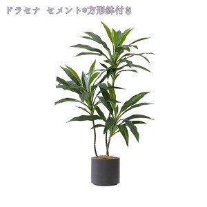 tFCNO[ ^ tFCNϗtA AȎ} Rȗt lHϗtA  傫 { rO Lb`  L _CjO Q xbh[  gC V