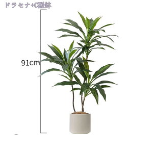 2000~OFFN[| tFCNO[ ^ tFCNϗtA AȎ} Rȗt lHϗtA  傫 { rO Lb`  L _CjO Q xbh[