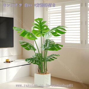 2000~OFFN[| lHϗtA 傫 tFCNO[ tFCNϗtA CeA  rO p[e[V  ze [ j JXj JƏj lHϗtA 