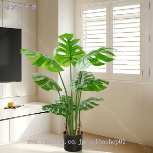 1000~OFFN[| lHϗtA 傫 tFCNO[ tFCNϗtA CeA  rO p[e[V  ze [ j JXj JƏj lHϗtA 