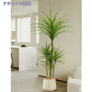 2000~OFFN[| lHϗtA ^ tFCNO[ CeA  X GgX c Ƃ̒ɒu lHϗtA  bȂ sv ϗtA O[ tF