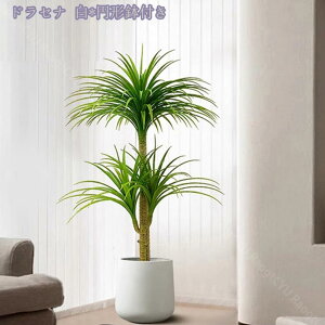 2000~OFFN[| tFCNO[ lHϗtA ^ CeA  rO ItBX   CeAO[ ϗtA 킢  Q Mъϗt sv ȒP