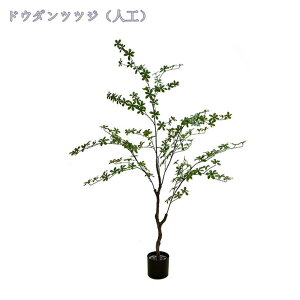 2000~OFFN[| lHϗtA tFCNO[ ^ Rȗt ϗA  Vv ItBX    Q oRj[ 킢CeAO[ K񂹂 