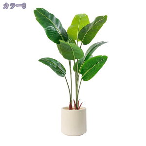 2000~OFFN[| lHϗtA ^ tFCNO[ CeA  X GgX c Ƃ̒ɒu lHϗtA  bȂ sv ϗtA O[ tF