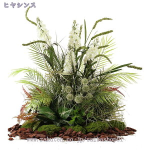 2000~OFFN[|  tFCNO[ lHA  ^ AȎ} Rȗt X GgX ֐ Vzj JƏj JXj sv ԕ/Q̐SzȂ Iȑ