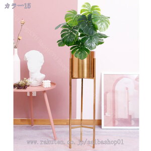 2000~OFFN[| lHϗtA tFCNO[ ϗtA AȎ} Rȗt X GgX c ItBX  ze JXj JƏj zj tFCNO[ 