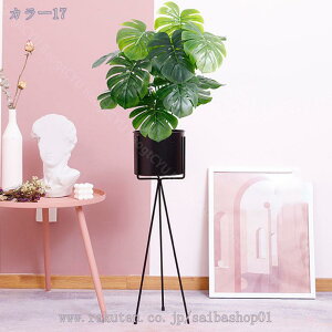 1000~OFFN[| lHϗtA tFCNO[ ϗtA AȎ} Rȗt X GgX c ItBX  ze JXj JƏj zj tFCNO[ 