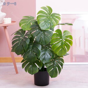 777~OFFN[| lHϗtA tFCNO[ ϗtA AȎ} Rȗt X GgX c ItBX  ze JXj JƏj zj tFCNO[ 