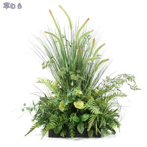 1000~OFFN[| tFCNO[ ^  tFCNt[ u { A u p ͂Ȃ AȎ} Rȗt lHA  i z[fR[V 