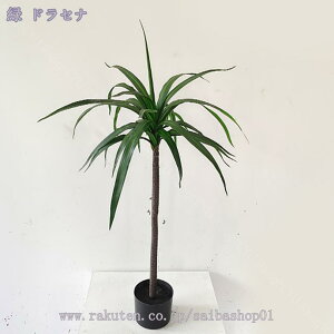 lHϗtA ^ tFCNO[ tFCNϗtA CeA  rO p[e[V  ze [ JXj JƏj lHϗtA 傫 tFCNO[ l