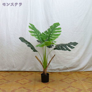 2000~OFFN[| tFCNO[ ^ Ύ  i` lHϗtA A fBXvC {^jJ  p z[ 뉀 Cxg a j v[g p[eB[ V