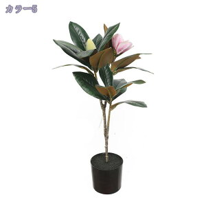 1000~OFFN[| tFCNO[ lHϗtA A  CeAO[ ^ϗt  ItBX  z[ x_ GgX A Ύ tFCNc[ ϗtA l