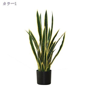 1000~OFFN[| lHϗtA { tFCNO[ lHϗtA ^ CeA  tFCNO[ A A tFCNϗtA {͕킵Ă tFCNO