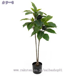 1000~OFFN[| lHϗtA tFCNO[ ^ ϗtA CeAO[ ϗtA ^ A  t v[g CeA lHϗtA p st gsJ