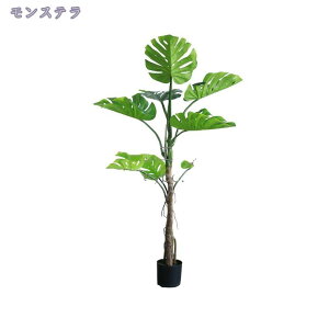 777~OFFN[| tFCNO[ lHϗtA ^ϗt CeA  ƒ 悯oRj[ p JXj Vzj aj j  X^CbV ȒP I