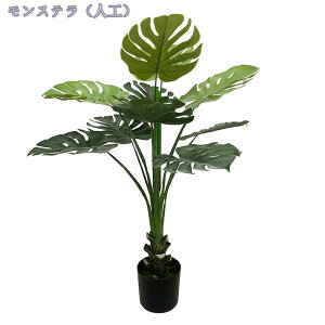 1000~OFFN[| ^ tFCNO[ lHϗtA lHϗtA tFCNO[  ϗt CeAO[ ItBX z[  fR[V lHϗtA CeAO