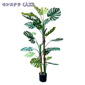 tFCNO[ ^ { lHϗtA  傫 ϗtA rO Lb`  L _CjO xbh[  gC Vzj J JXj v[g  