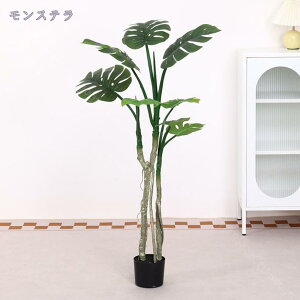 lHϗtA ^ { 傫  lH A ^ CeA JX JƏj  rO tFCNO[ sv tFCN p[e[V A ͂