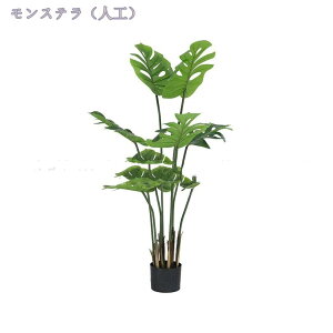 1000~OFFN[| lHϗtA ^ { 傫  lH A ^ CeA JX JƏj  rO tFCNO[ sv tFCN p[e[V