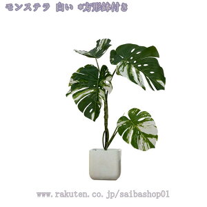 1000~OFFN[| lHϗtA ^ Xe tFCNO[ CeA  ͂Ȃ tFCNA CeA Ƃ̒ɒu lHϗtA  bȂ sv ϗt