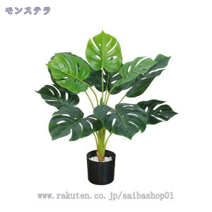 1000~OFFN[| tFCNO[ ^ { lHϗtA  傫 ϗtA rO Lb` X  L _CjO xbh[  gC Vzj J JX