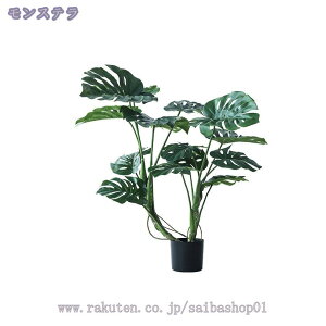 lHϗtA ^ { 傫  lH A ^ CeA JX JƏj  rO tFCNO[ sv tFCN p[e[V A ͂