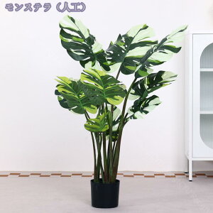 1000~OFFN[| Xe lHϗtA ^ { tFCNO[  ƒ 悯oRj[ z[ x_ Iȑ 邭u₩ tFCNO[ lHA ͂