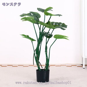 Xe lHϗtA ^ { tFCNO[  ƒ 悯oRj[ z[ x_ Iȑ 邭u₩ tFCNO[ lHA ͂Ȃ i` u