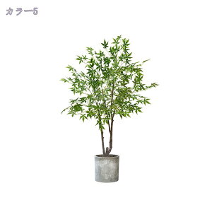 2000~OFFN[| tFCNO[ lHϗt i` u ~͐A lHϗtA tFCNO[ bȂ sṽz[  Lb` ItBX tFCNO[  v