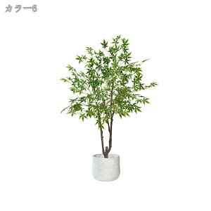 2000~OFFN[| tFCNO[ lHϗt i` u ~͐A lHϗtA tFCNO[ bȂ sṽz[  Lb` ItBX tFCNO[  v