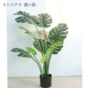 1000~OFFN[| lHϗtA { tFCNO[ lHϗtA ^ CeA  lH ^ tFCNO[ A A tFCNϗtA j tFCNO