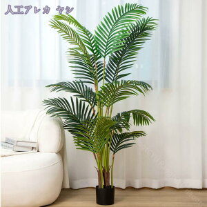 lHϗtA ^ tFCNO[ tFCNϗtA CeA  rO p[e[V  ze [ JXj JƏj lHϗtA 傫 tFCNO[ l