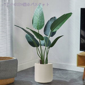 1000~OFFN[| tFCNO[ ϗtA  j v[g  A tFCNϗtA ItBX  zer[ i V~[V tFCNc[ fR