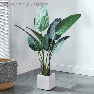 1000~OFFN[| lHϗtA ^ tFCNO[ tFCNϗtA fBXvC  A j j JX J Vz Mtg j JX J  tFCNO[ C