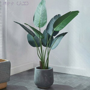 1000~OFFN[| lHϗtA ^ tFCNO[ tFCNϗtA fBXvC  A j j JX J Vz Mtg j JX J  tFCNO[ C