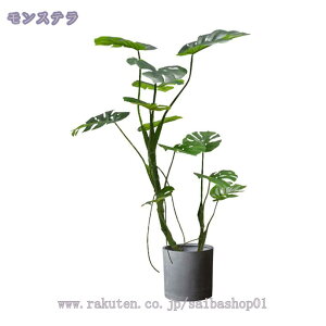 tFCNO[ lHϗtA ^  CeA A 傫 u Vv   rO ItBX ҍ fBXvC 䉉o   ㎿ u₩ t j tF