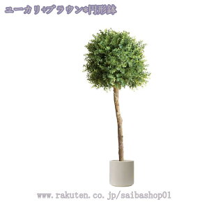 2000~OFFN[| lHϗtA ^TCY sv CeAO[ ϗtA ϗtA tFCN  t t p ItBX Iȑ CeA   