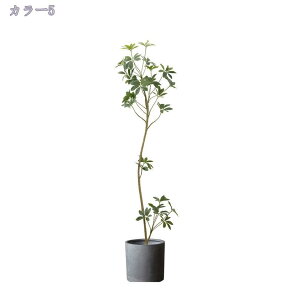 2000~OFFN[| tFCNO[ lHϗtA ^ CeAO[ ϗtA   rO x_ ItBXp v[g Mtg j a 蕨 JXj J