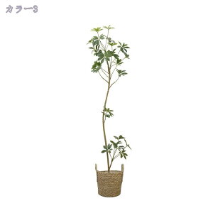 2000~OFFN[| tFCNO[ ^  i` ϗtA tFCNO[ A Vz JX J a Cxg fBXvC {^jJ  p z[ 뉀 a 