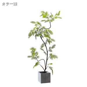 2000~OFFN[| tFCNO[ lHϗtA ^ CeAO[ ϗtA  v[g j    CeA JtF bNX ϗtA tFCN 