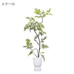 2000~OFFN[| tFCNO[ lHϗtA ^ CeAO[ ϗtA  v[g j    CeA JtF bNX ϗtA tFCN 