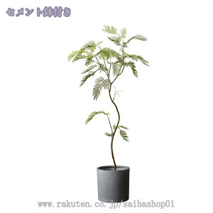 1000~OFFN[| tFCNO[ lHϗtA ^ CeAO[ ϗtA    rO x_ ItBXp v[g Mtg j a 蕨 JXj 