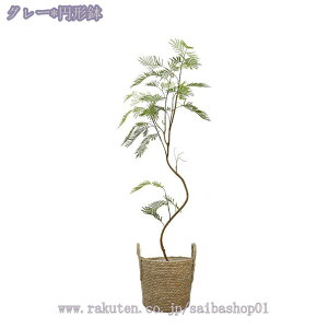 1000~OFFN[| lHϗtA ^ tFCNO[ lA lHϗtA ϗt l tFCNO[ 傫  rO p[e[V nC nCA ][g JX