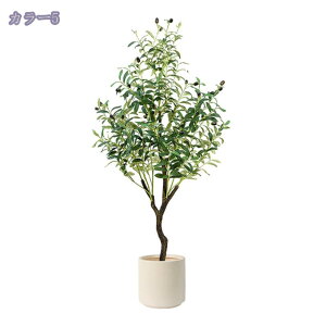 2000~OFFN[| tFCNO[ ^  i` ϗtA tFCNO[ A Vz JX J a Cxg fBXvC {^jJ  p z[ 뉀 a 