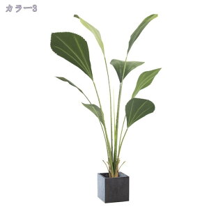 tFCNO[ ^ lHϗtA   ItBX A ϗtA ~` u₩  ϗtAtFCN lHϗtA sv Q̐SzȂ tFCNO[ ~͐A 