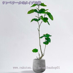 tFCNO[ ^  i` ϗtA tFCNO[ A Vz JX J a Cxg fBXvC {^jJ  p z[ 뉀 a j v[