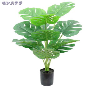 1000~OFFN[| tFCNO[ ^  i` lHϗtA tFCNO[ A Vz JX J fBXvC {^jJ  p z[ 뉀 Cxg a 