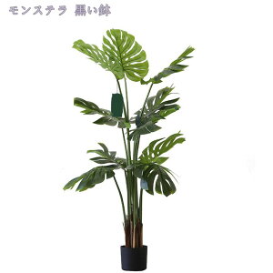 2000~OFFN[| lHϗtA Xe ϗtA tFCNO[ A  t A ܂Ŗ{ 3D̗t IV Xe ZX̂ 킢 lHϗtA ȒP